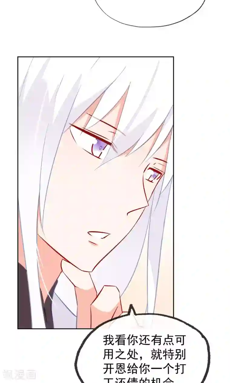 我的猫仙大人第6话 无情的猫大人