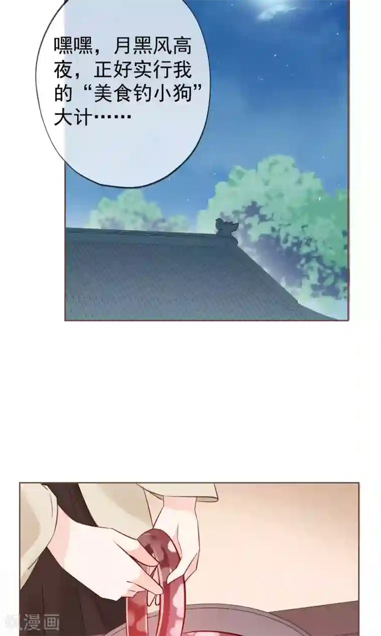 我的猫仙大人第7话 我的狗狗会说话？！