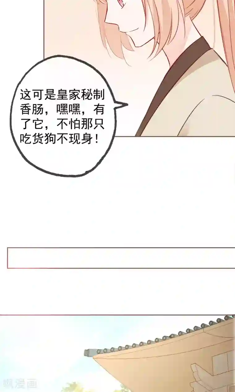 我的猫仙大人第7话 我的狗狗会说话？！