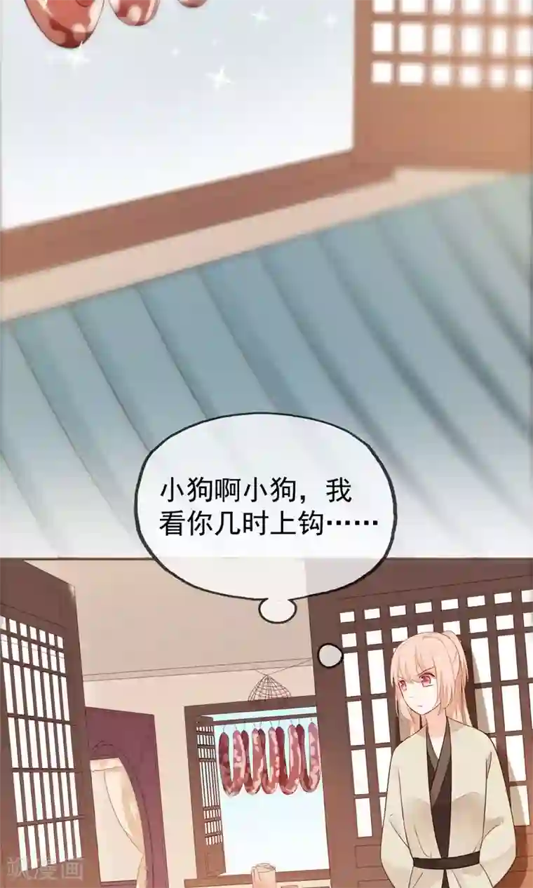 我的猫仙大人第7话 我的狗狗会说话？！