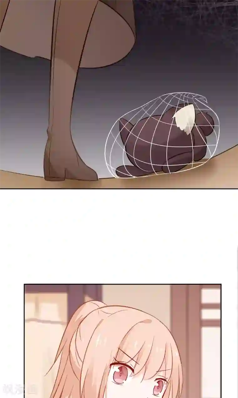 我的猫仙大人第7话 我的狗狗会说话？！