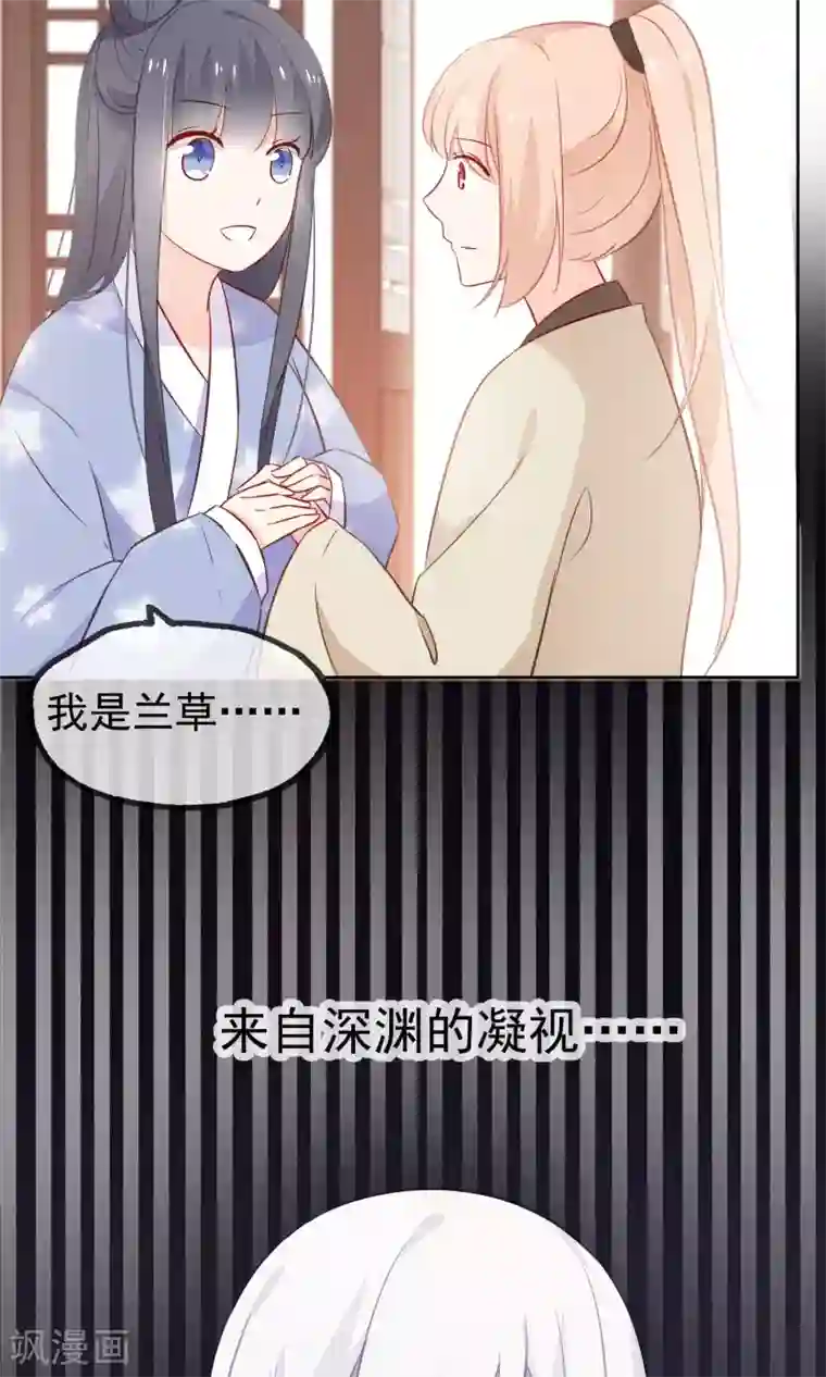 我的猫仙大人第7话 我的狗狗会说话？！