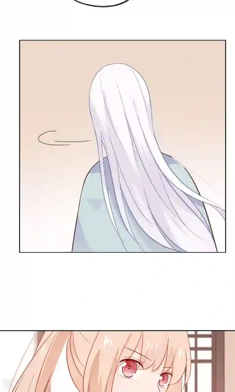 我的猫仙大人第7话 我的狗狗会说话？！