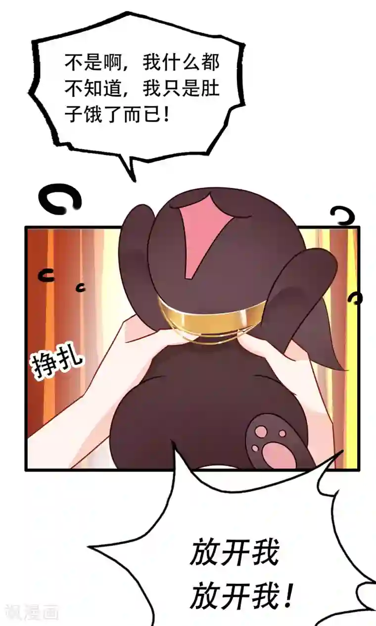 我的猫仙大人第8话 这位帅哥叫十九夜