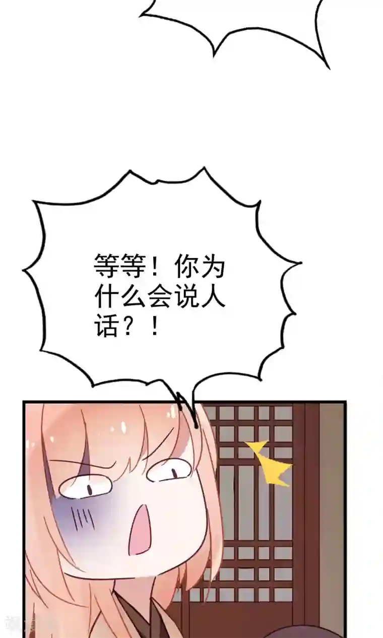 我的猫仙大人第8话 这位帅哥叫十九夜