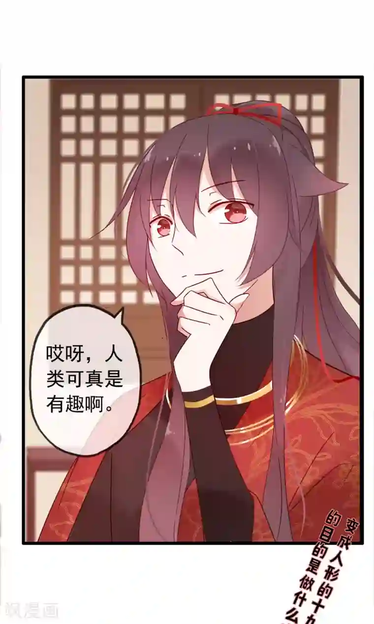 我的猫仙大人第8话 这位帅哥叫十九夜