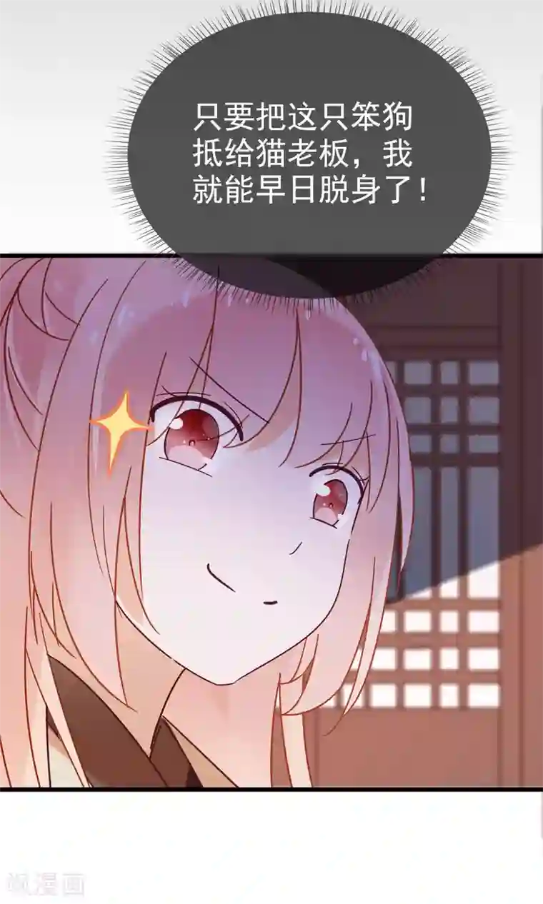 我的猫仙大人第8话 这位帅哥叫十九夜