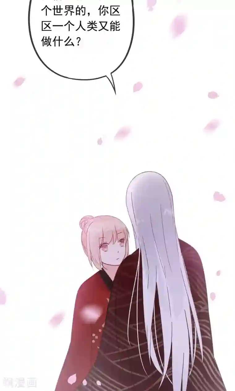 我的猫仙大人第11话 别离的痛苦，你如何能懂
