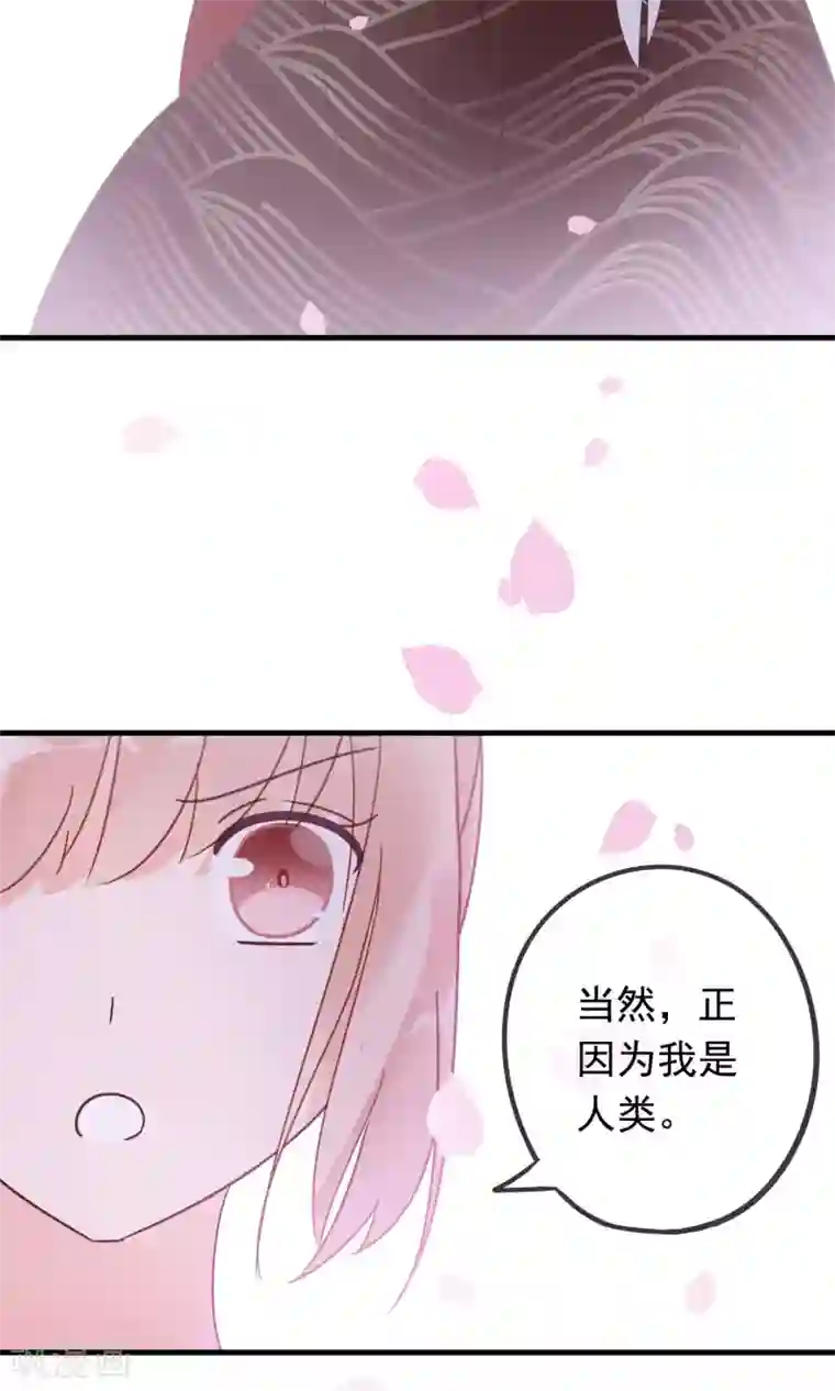 我的猫仙大人第11话 别离的痛苦，你如何能懂
