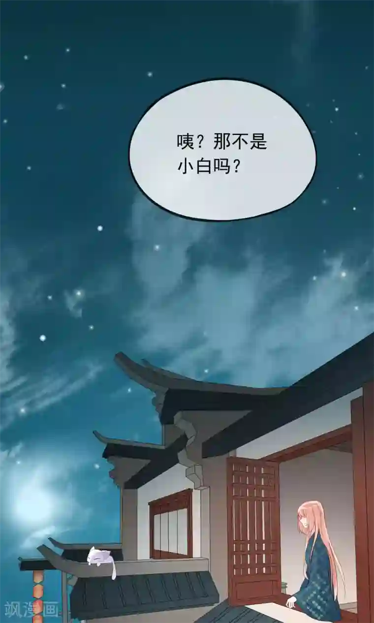 我的猫仙大人第12话 我与母后的往事