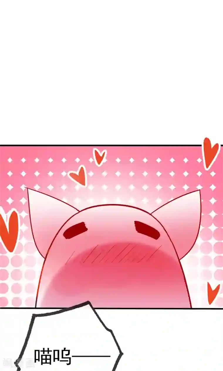 我的猫仙大人第12话 我与母后的往事