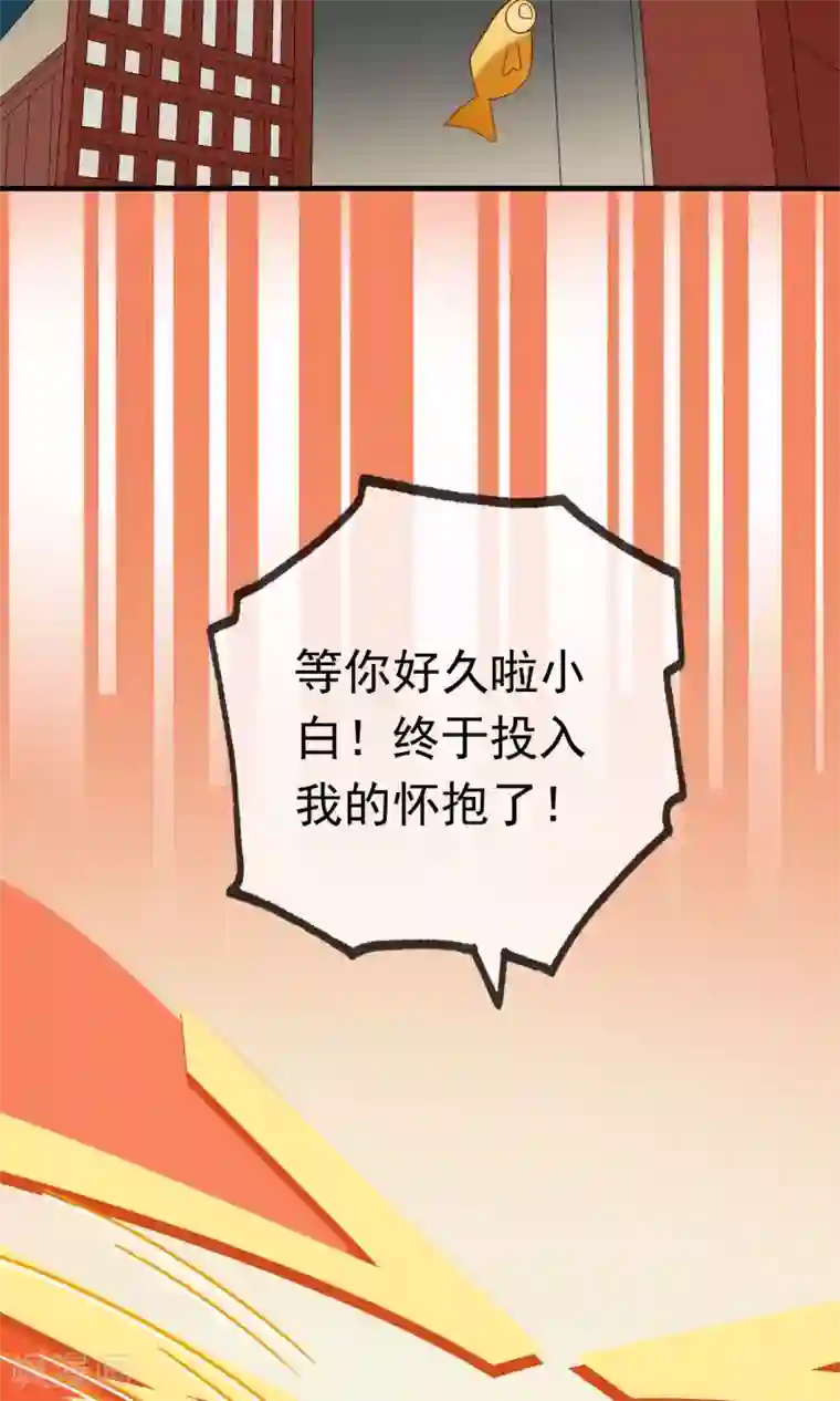 我的猫仙大人第12话 我与母后的往事