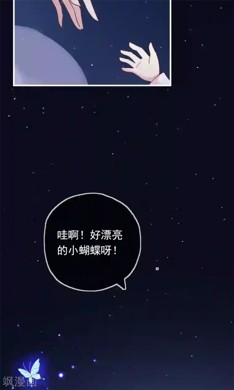 我的猫仙大人第12话 我与母后的往事