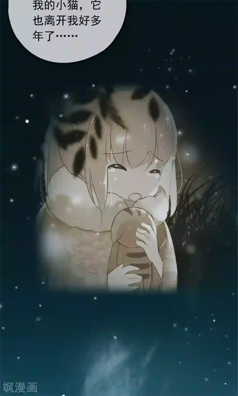 我的猫仙大人第12话 我与母后的往事