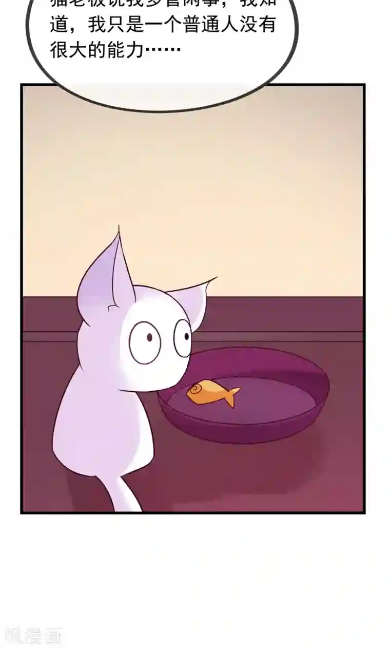 我的猫仙大人第12话 我与母后的往事