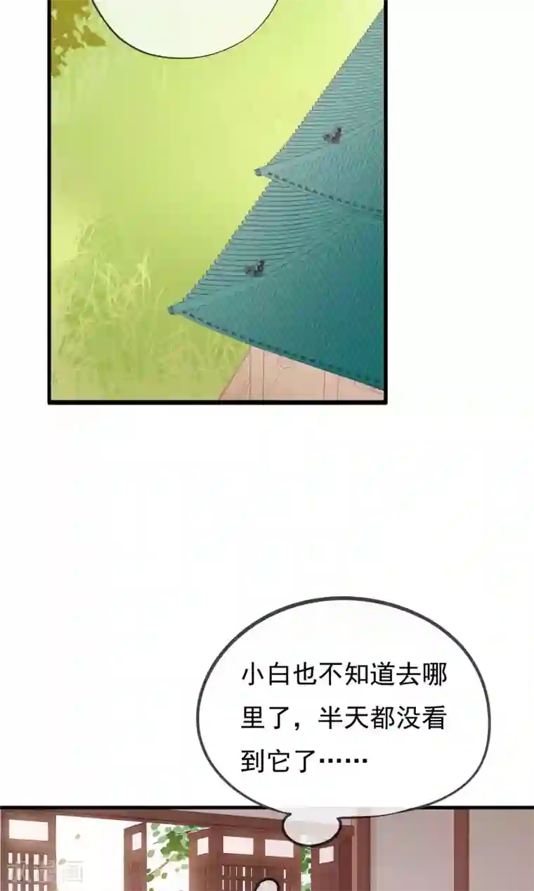 我的猫仙大人第14话 我要赐你死罪！