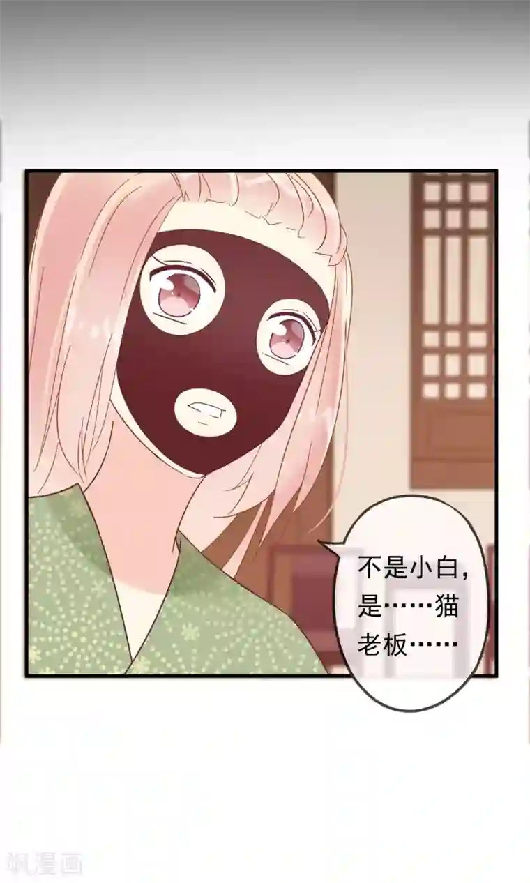 我的猫仙大人第16话 过了今天，再也见不到你