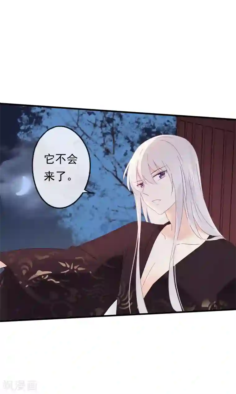 我的猫仙大人第16话 过了今天，再也见不到你