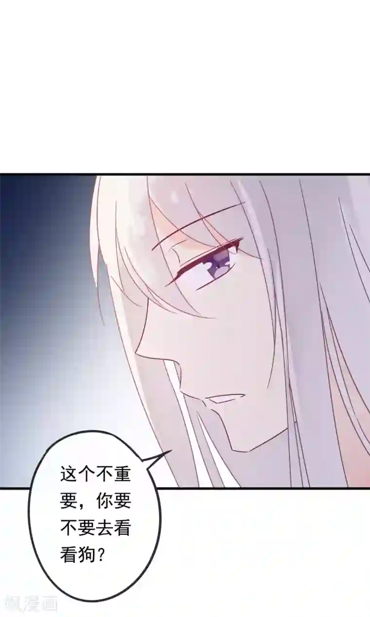 我的猫仙大人第16话 过了今天，再也见不到你