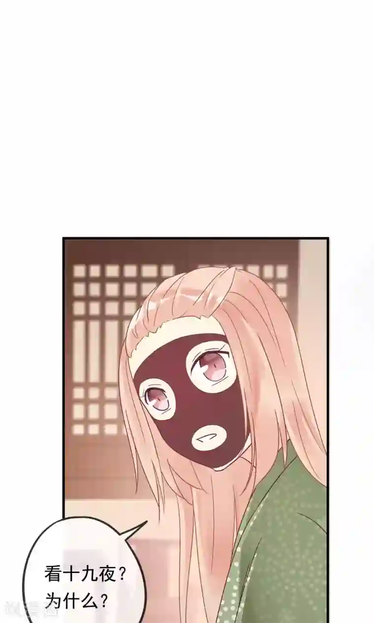 我的猫仙大人第16话 过了今天，再也见不到你