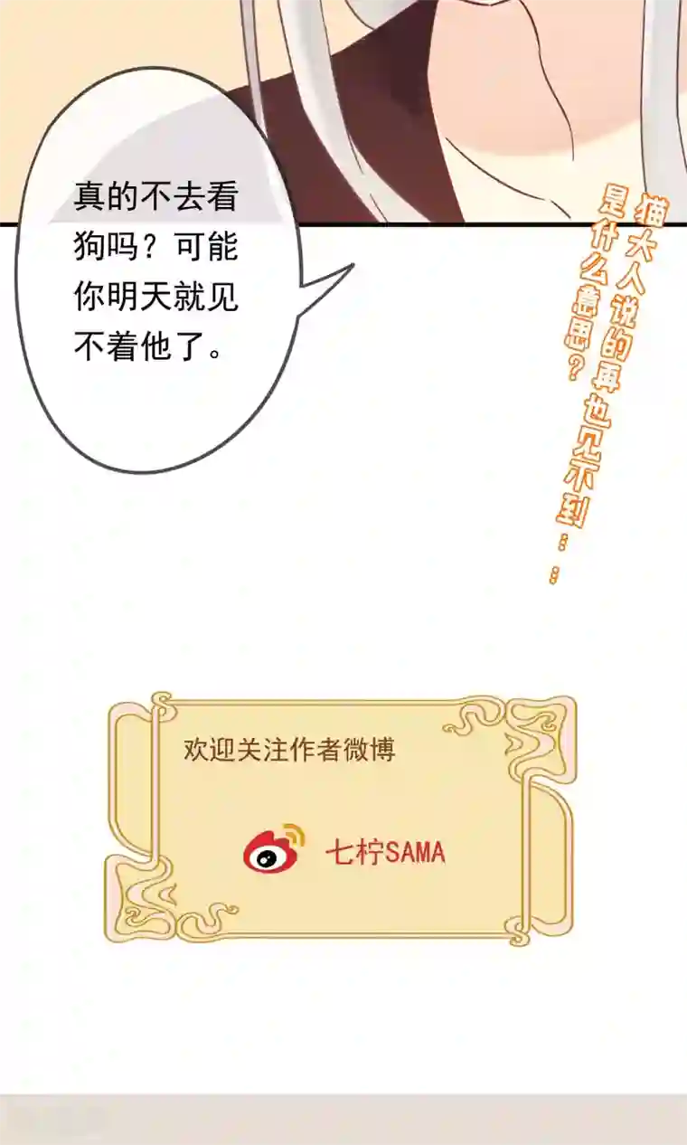 我的猫仙大人第16话 过了今天，再也见不到你