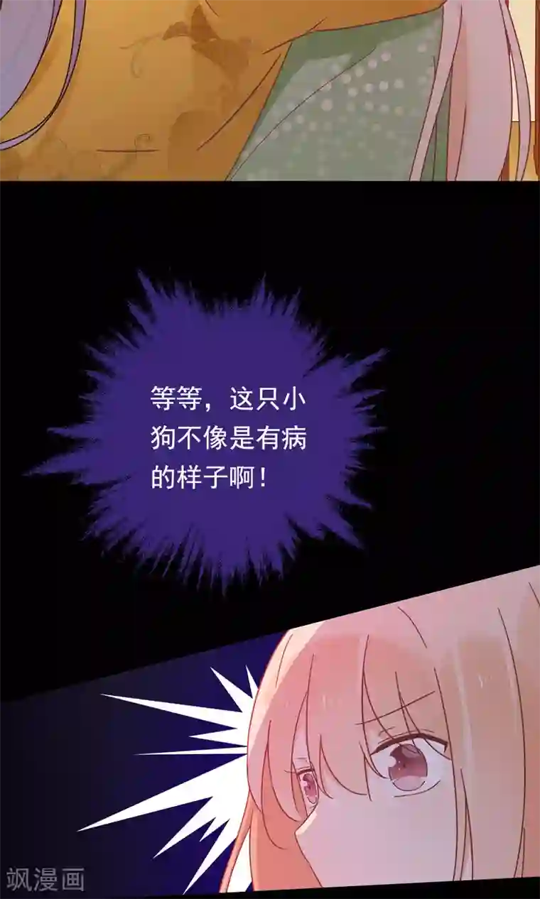 我的猫仙大人第17话 故意吃豆腐？！