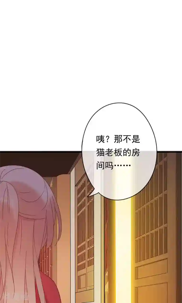 我的猫仙大人第18话 他们两个是神仙？！