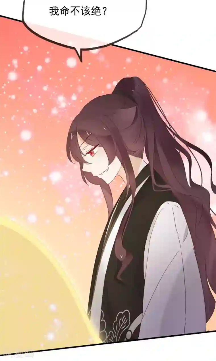 我的猫仙大人第18话 他们两个是神仙？！