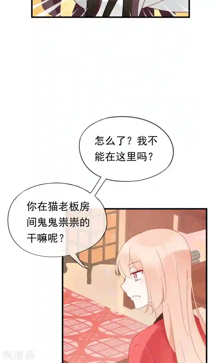 我的猫仙大人第18话 他们两个是神仙？！