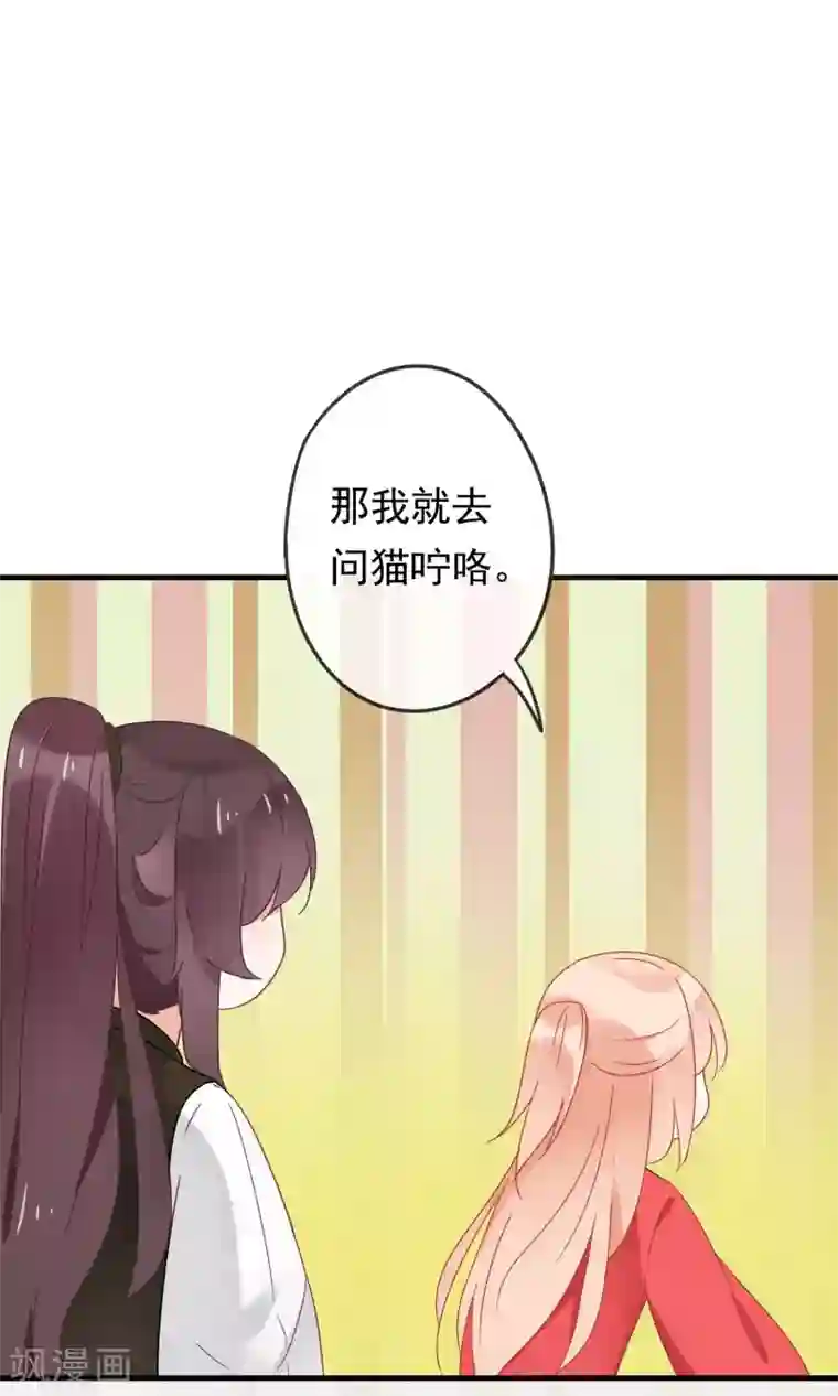 我的猫仙大人第18话 他们两个是神仙？！