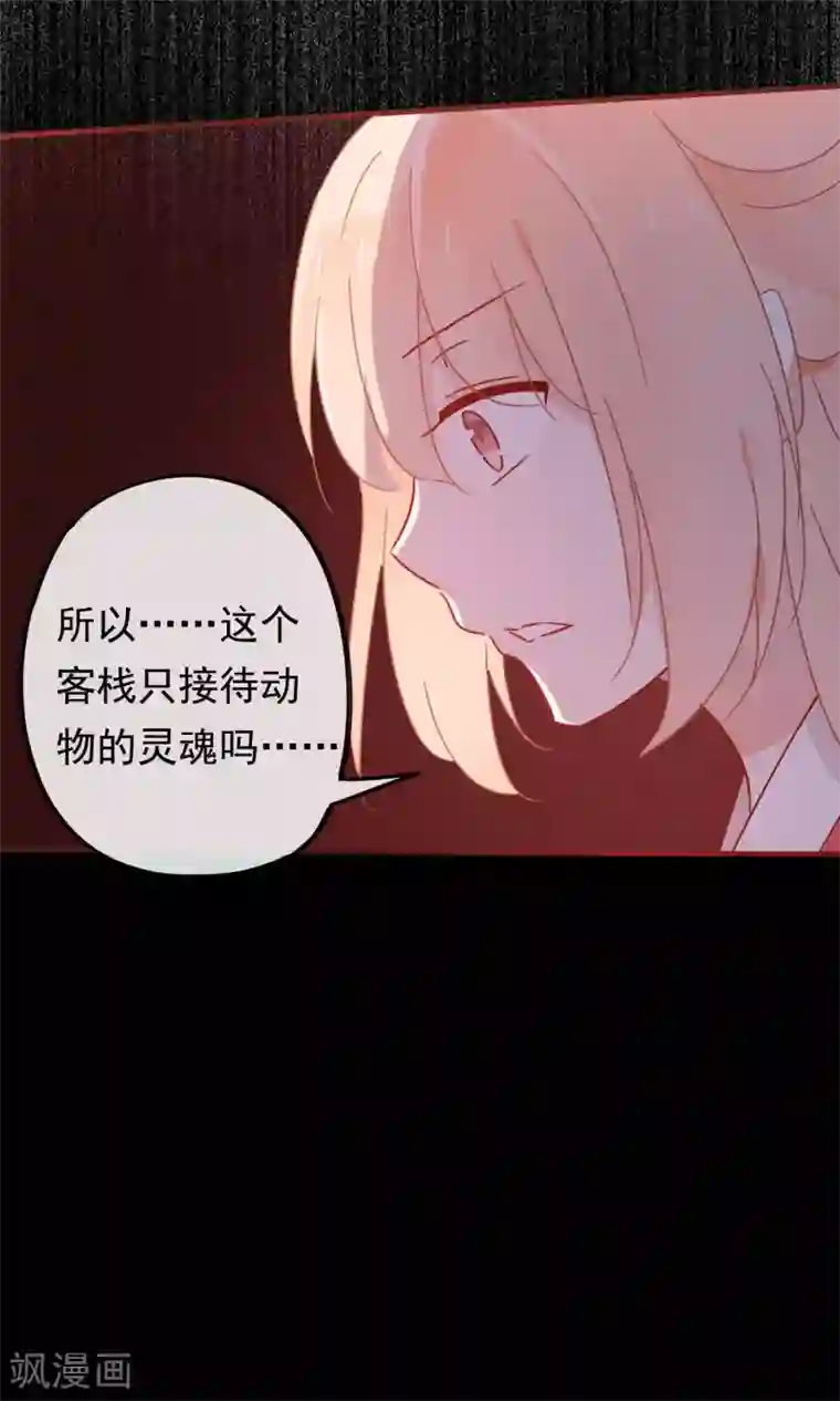 我的猫仙大人第19话 动物们的生死归我管