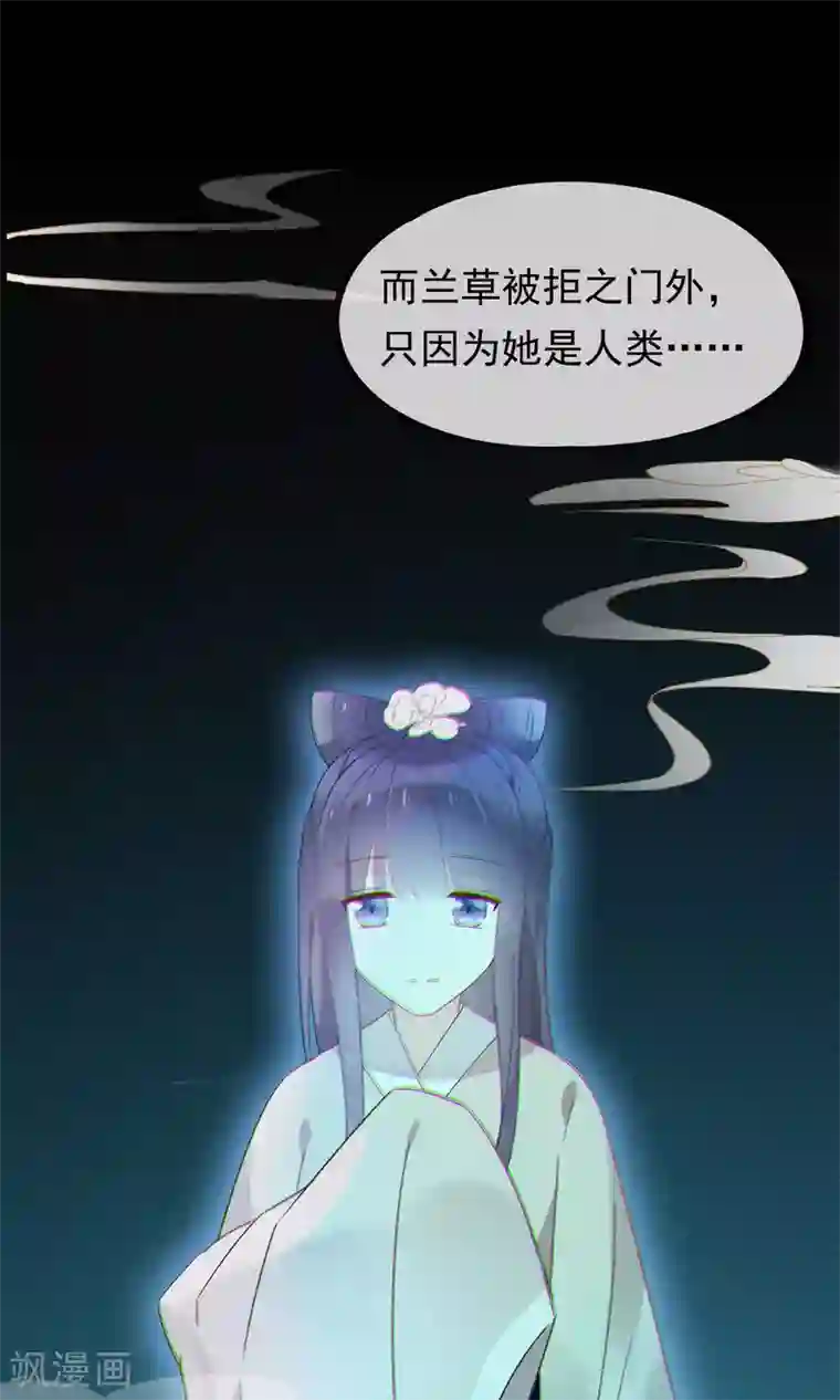 我的猫仙大人第19话 动物们的生死归我管