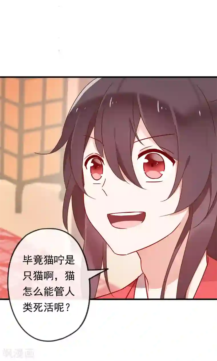 我的猫仙大人第19话 动物们的生死归我管