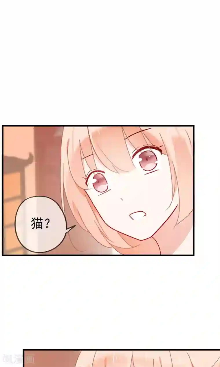 我的猫仙大人第19话 动物们的生死归我管