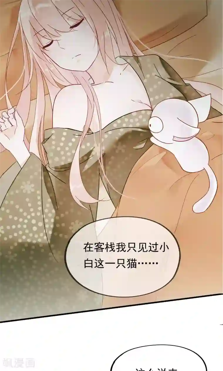 我的猫仙大人第19话 动物们的生死归我管