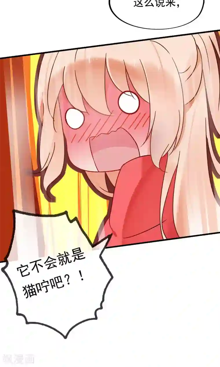 我的猫仙大人第19话 动物们的生死归我管