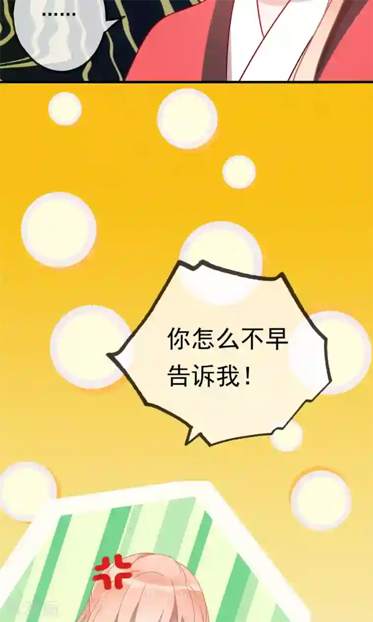 我的猫仙大人第19话 动物们的生死归我管