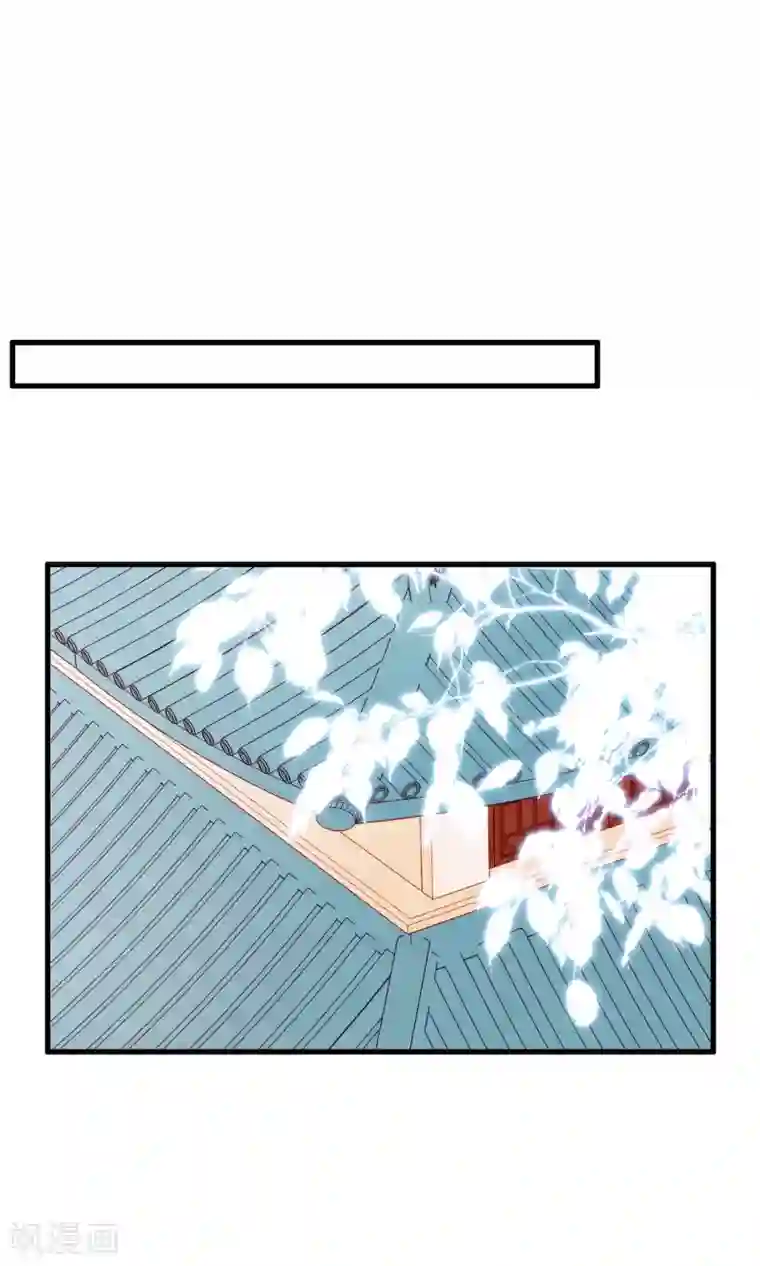 我的猫仙大人第19话 动物们的生死归我管