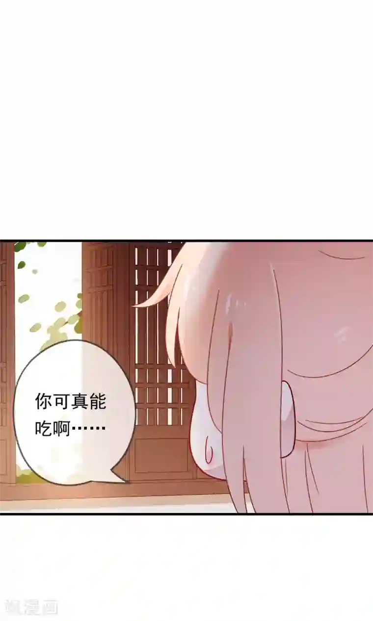 我的猫仙大人第19话 动物们的生死归我管