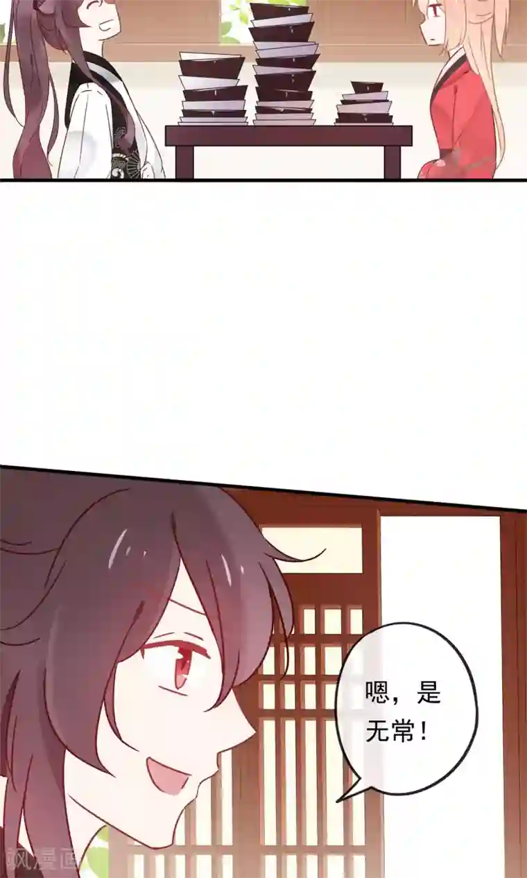 我的猫仙大人第19话 动物们的生死归我管