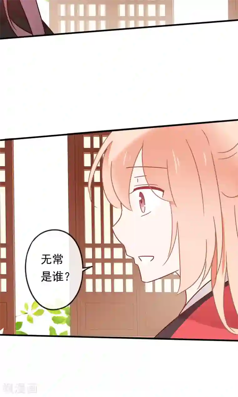 我的猫仙大人第19话 动物们的生死归我管