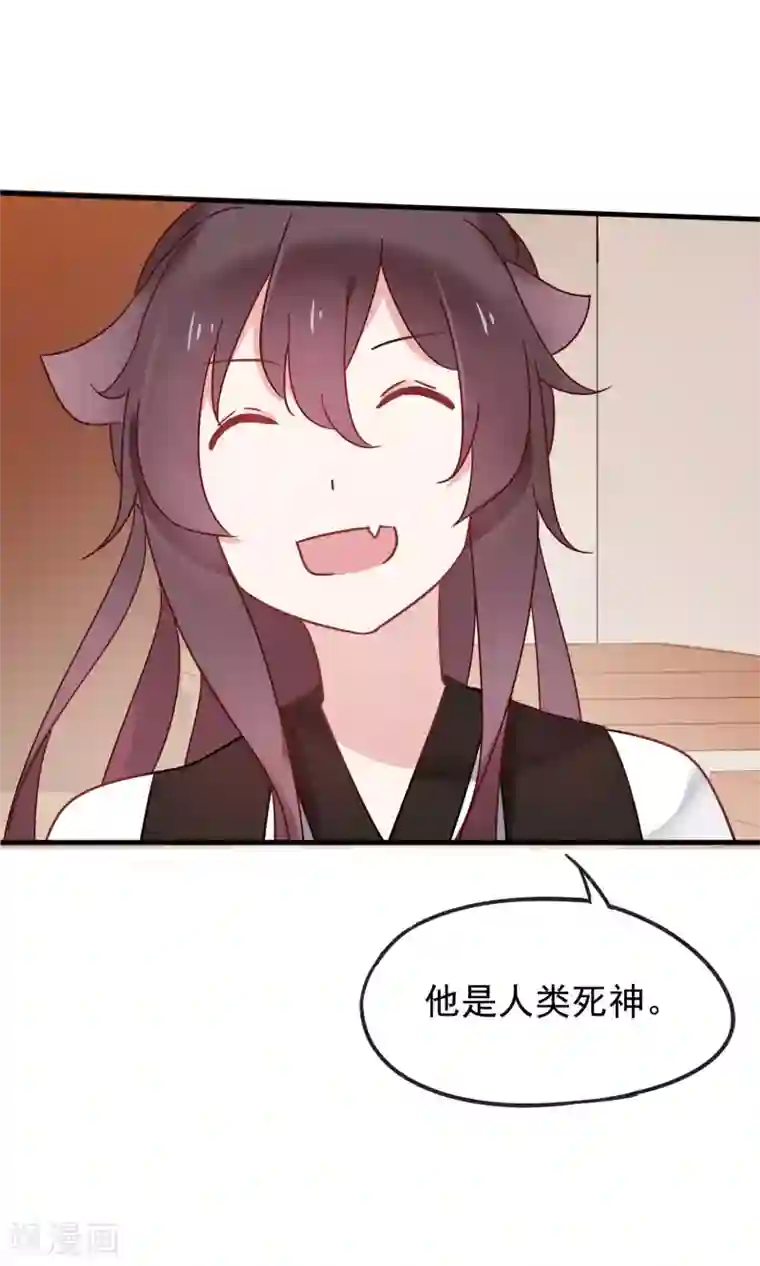 我的猫仙大人第19话 动物们的生死归我管