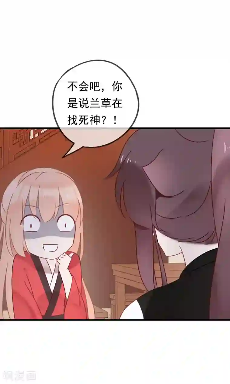 我的猫仙大人第19话 动物们的生死归我管