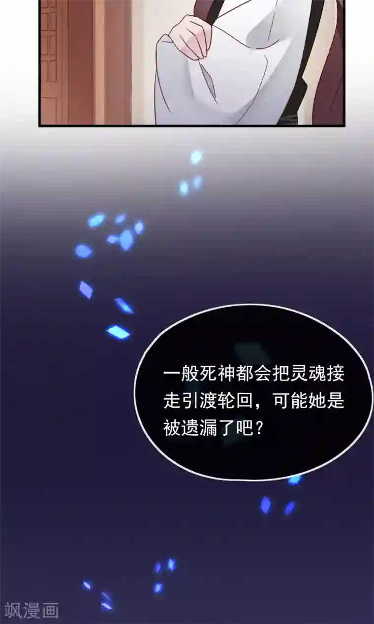 我的猫仙大人第19话 动物们的生死归我管