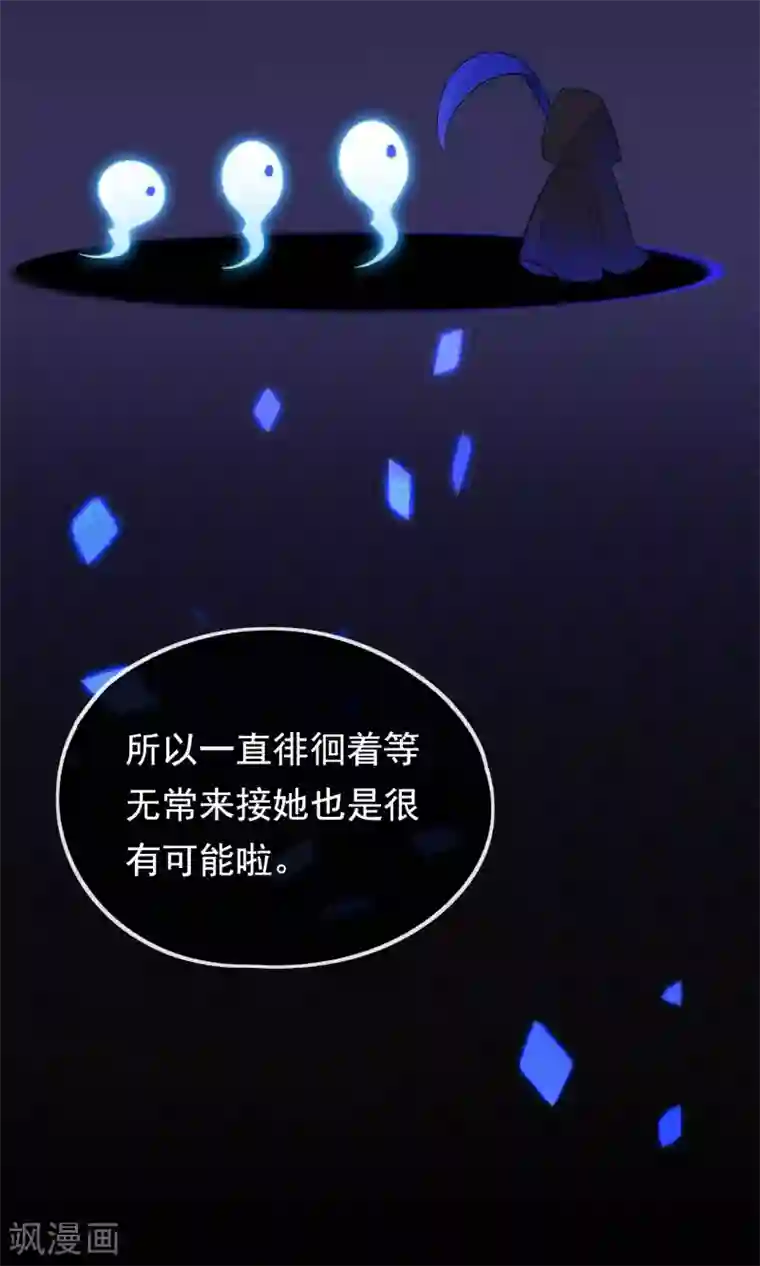 我的猫仙大人第19话 动物们的生死归我管