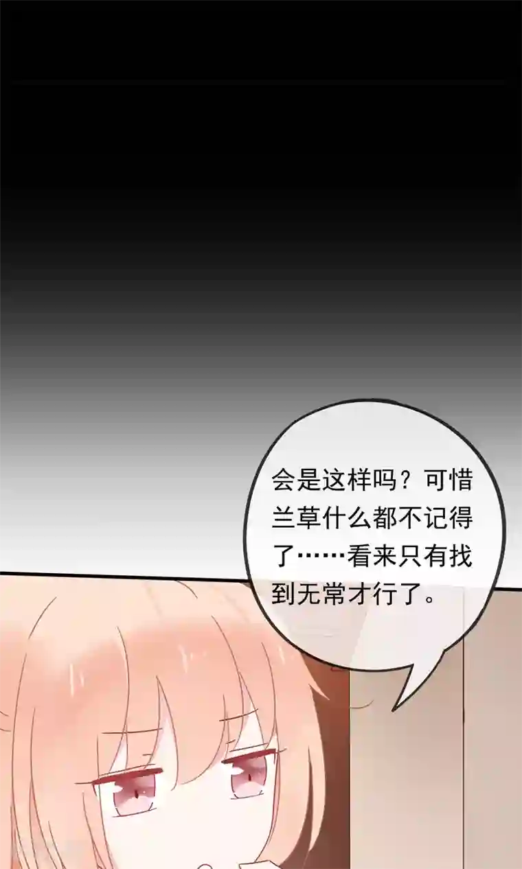 我的猫仙大人第19话 动物们的生死归我管