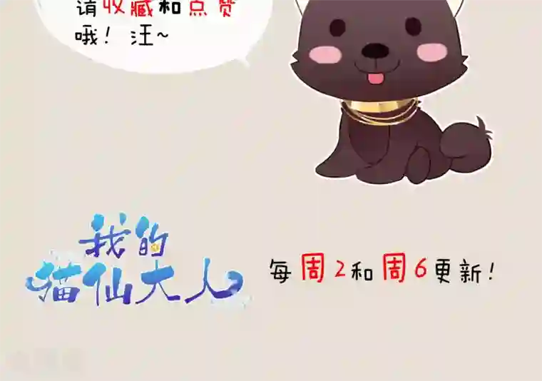我的猫仙大人第19话 动物们的生死归我管