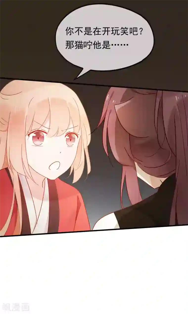 我的猫仙大人第19话 动物们的生死归我管