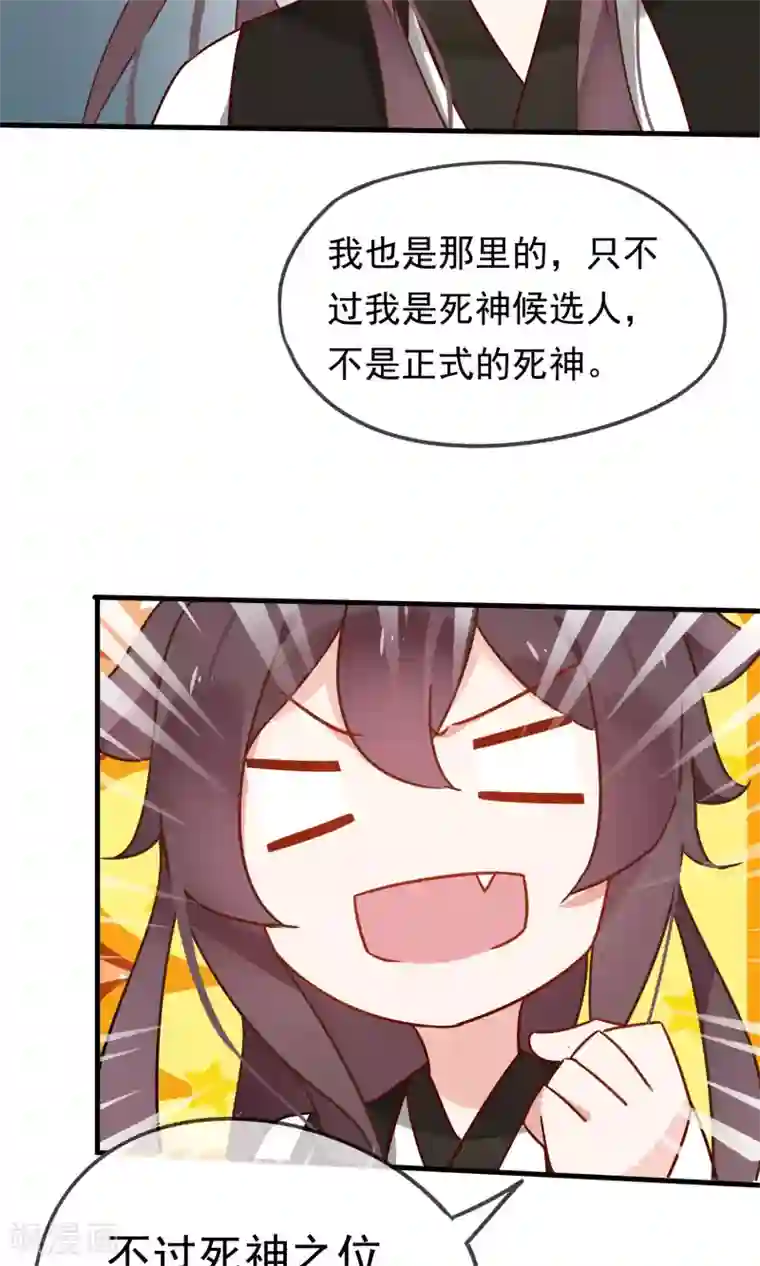 我的猫仙大人第19话 动物们的生死归我管