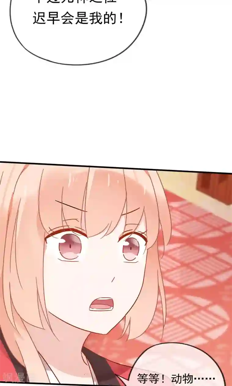 我的猫仙大人第19话 动物们的生死归我管